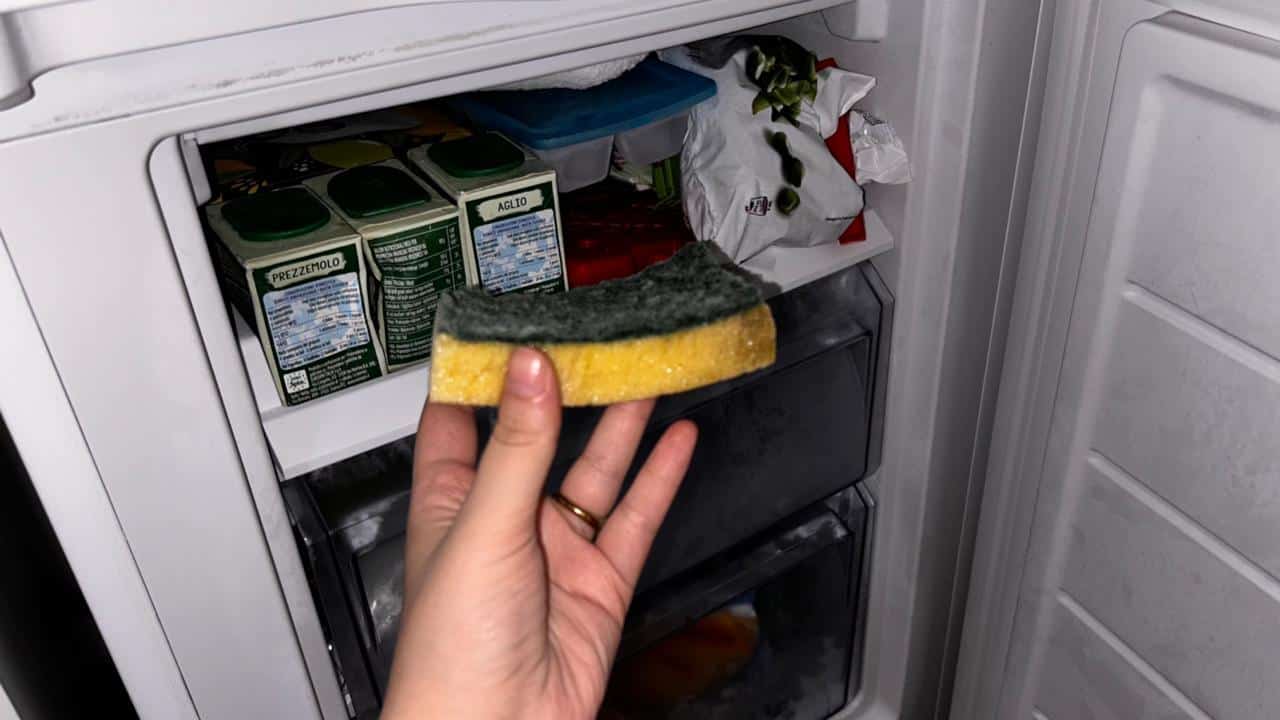 Schwamm im Gefrierschrank