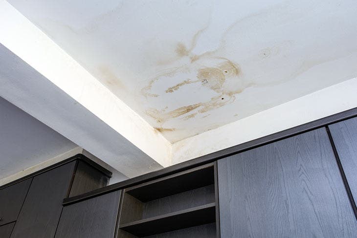 Feuchtigkeit zu Hause? Der Trick der klugen Omas, um dieses Problem endgültig zu lösen 2 Schimmelfleck an der Decke
