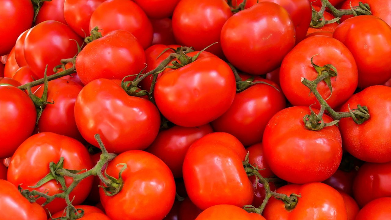 Wie man Tomaten lange lagert