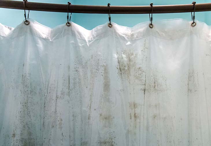 So entfernen Sie Schimmel dauerhaft aus dem Badezimmer: für die Dusche, Gardinen und Fliesen 4 Duschvorhang Feuchtigkeitsflecken