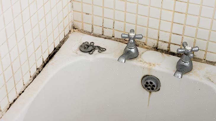 So entfernen Sie Schimmel dauerhaft aus dem Badezimmer: für die Dusche, Gardinen und Fliesen 2 schwarze flecken schimmel