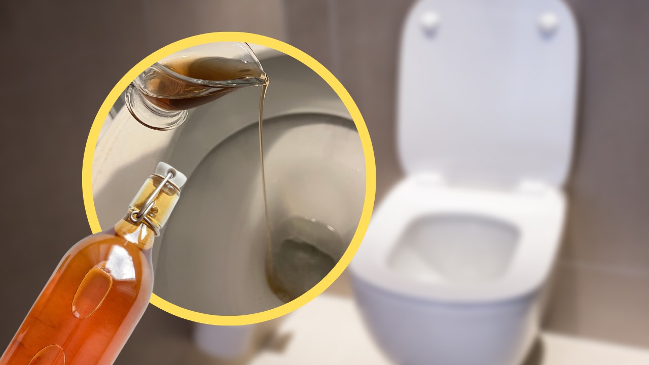 Essig in der Toilette