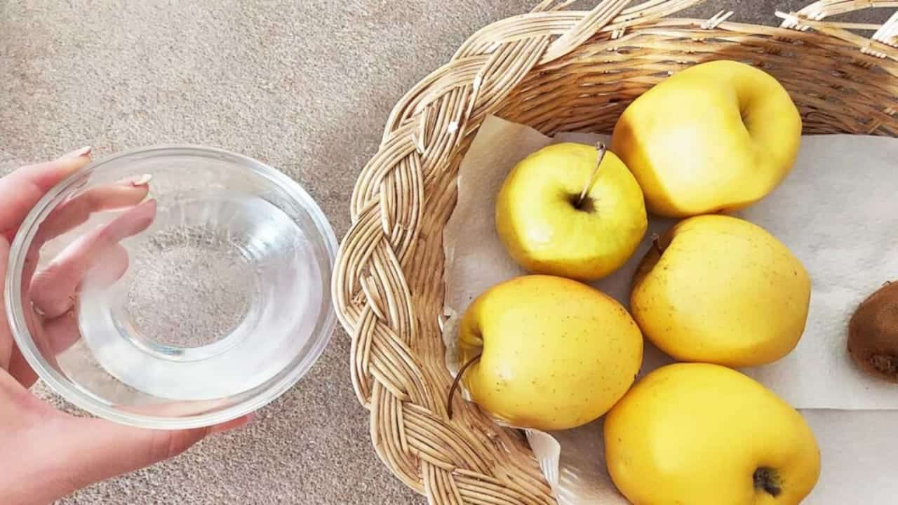 Auf Wiedersehen Fruchtfliegen