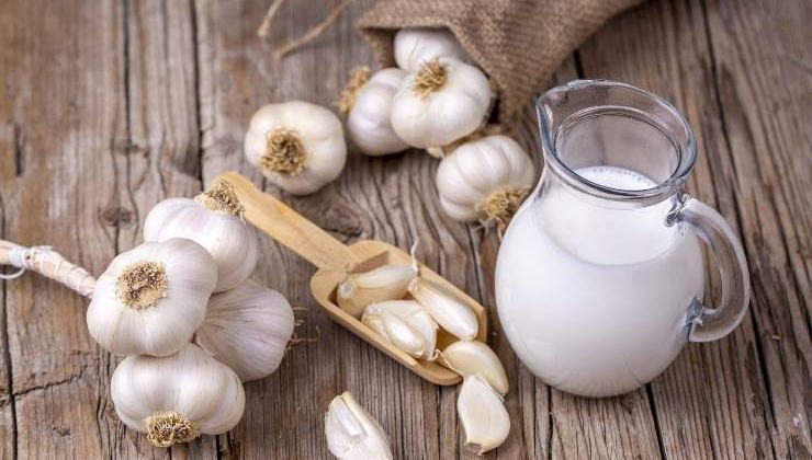 Knoblauch und Milch Knoblauch und Milch