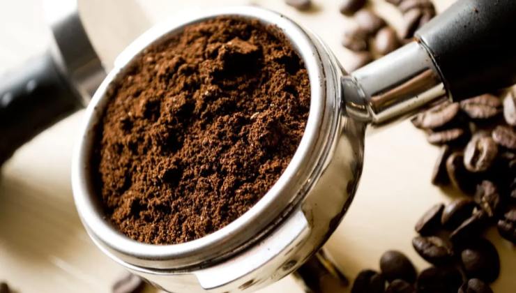 Kaffee gegen Mücken Kaffee gegen Mücken