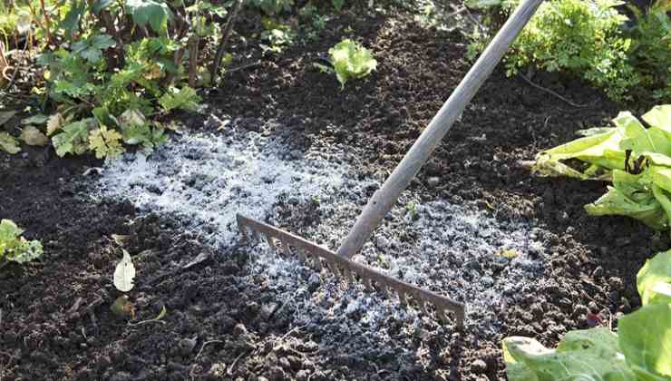 Asche für Pflanzen Asche für Pflanzen