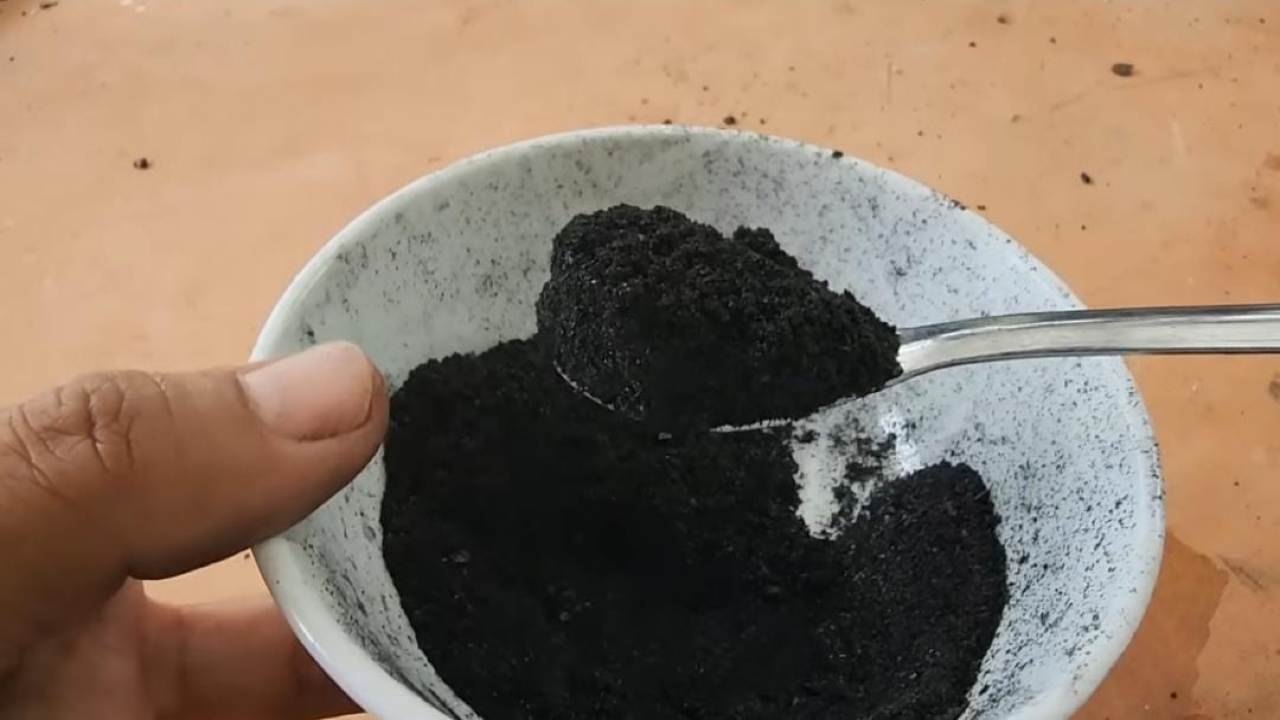 Löffel mit schwarzer Zutat Löffel mit schwarzer Zutat