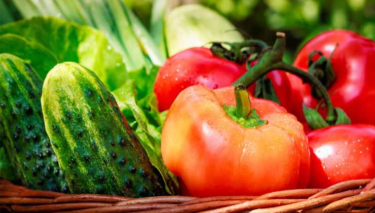 Produkte für den Sommergarten Produkte für den Sommergarten