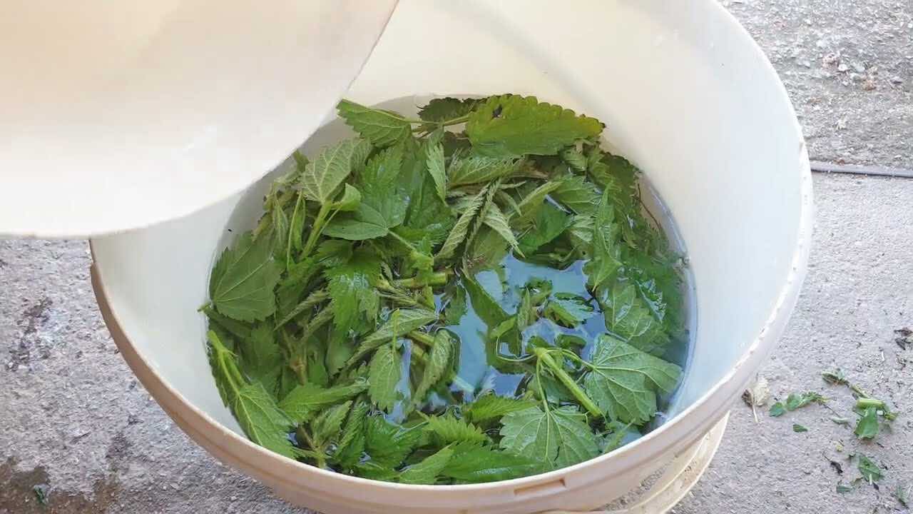 Dünger und Insektizid Dünger und Insektizid