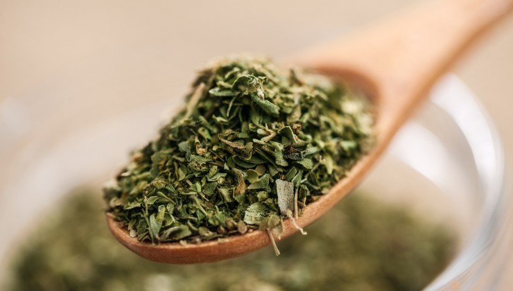 Oregano Oregano