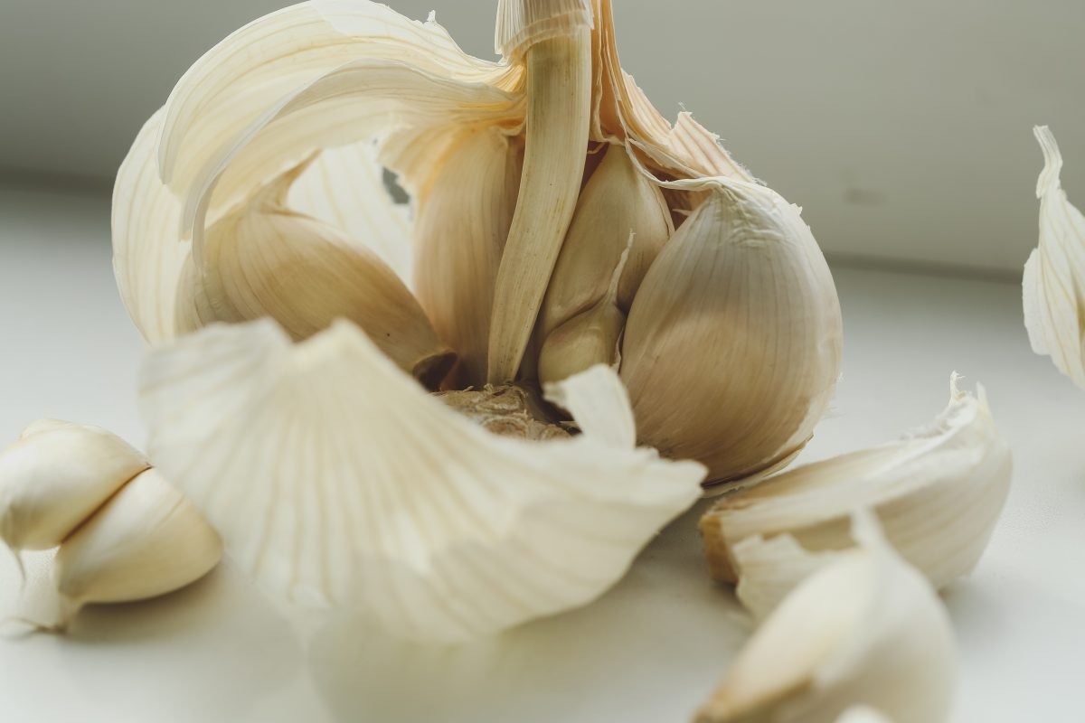 Knoblauchschalen, werfen Sie sie nicht weg, sie sind AdobeStock 483211080 wert Knoblauchschalen, werfen Sie sie nicht weg, sie sind AdobeStock 483211080 wert