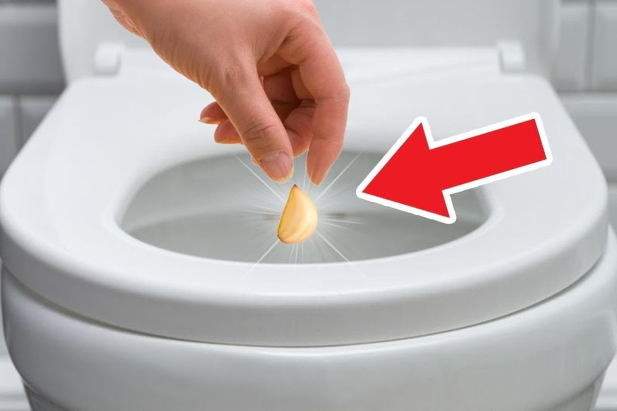 eine Knoblauchzehe hinzufügen, Knoblauch wc 1 eine Knoblauchzehe hinzufügen, Knoblauch wc 1