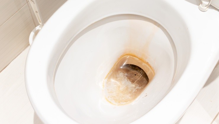 Hier ist die Methode, um die Toilette von Schmutz und Kalk zu reinigen
