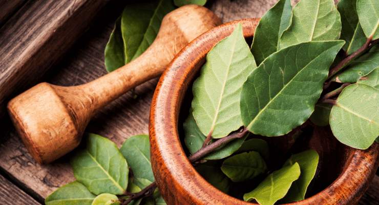 Halten Sie Insekten fern