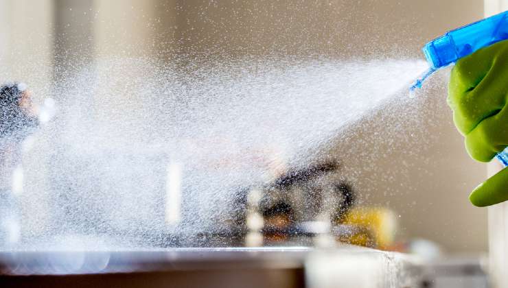 hausgemachtes Insektizid hausgemachtes Insektizid