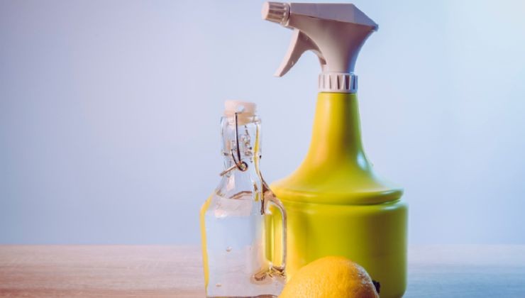 hausgemachtes Insektizid hausgemachtes Insektizid