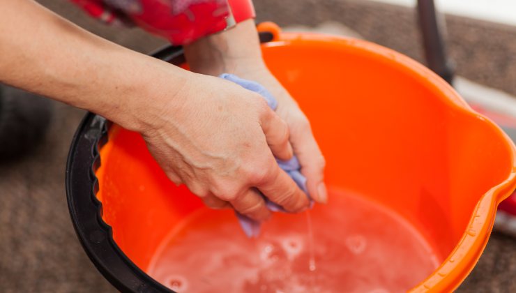 Das natürliche Abwehrmittel