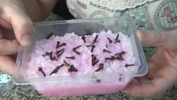 natürliches Insektenschutzmittel natürliches Insektenschutzmittel