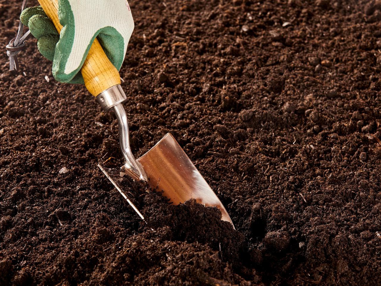 Boden - Herkunft: spm Boden - Herkunft: spm