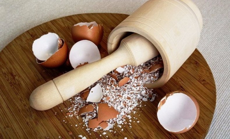 Eierschalen in Wasser einweichen, gemahlene Eierschalen Eierschalen in Wasser einweichen, gemahlene Eierschalen