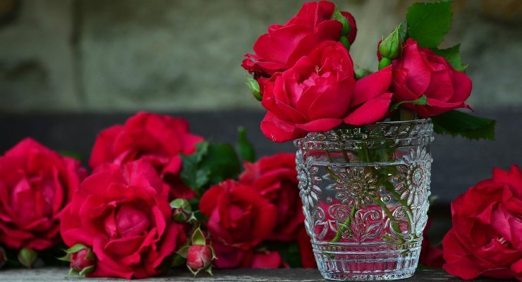 Rosen im Glas Rosen im Glas