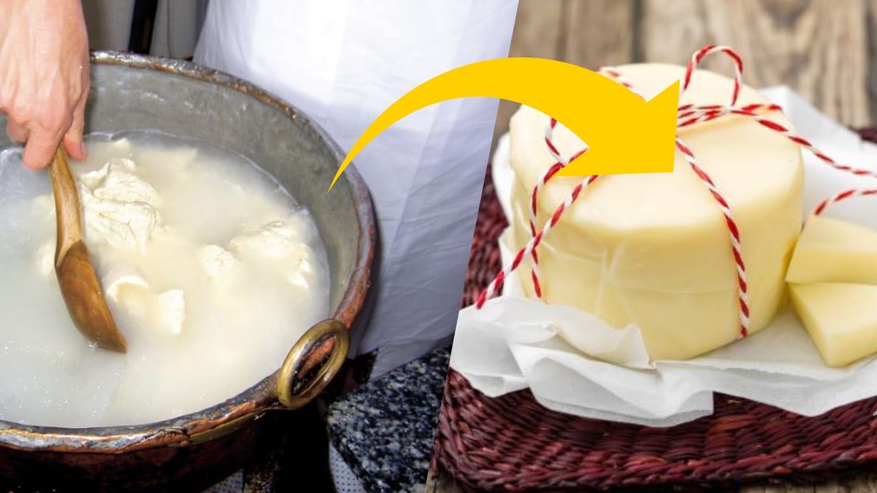 Hausgemachter Käse