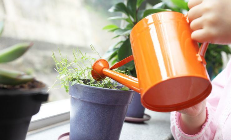 Pflanzendünger Pflanzendünger