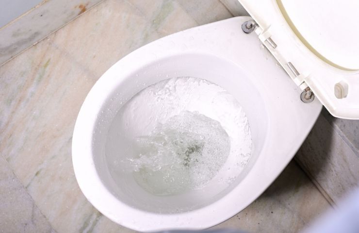 Einfache Toilettenreinigung