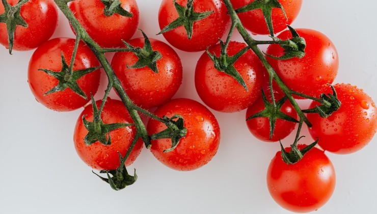 Große, saftige Tomaten